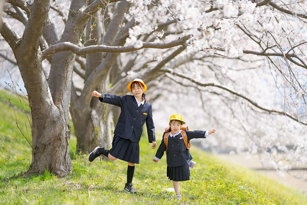 手取川の満開の桜の下で入学を喜ぶ従兄弟