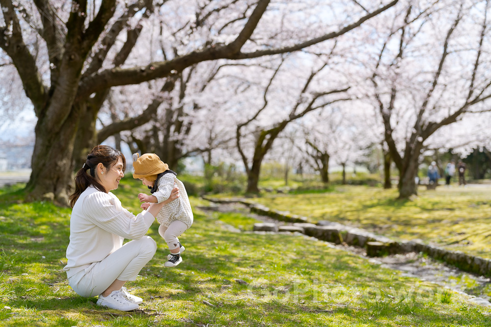 桜の木の下で抱っこする親子