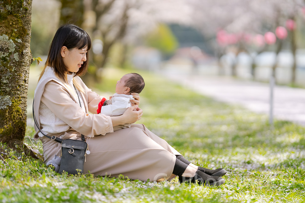 小松木場潟公園の満開の桜の樹の下で新生児を抱く母親