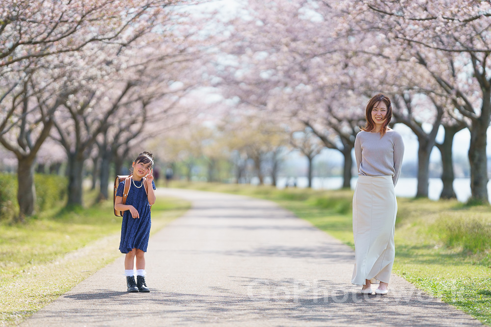 小松木場潟で満開の桜の下で入学を喜ぶ親子