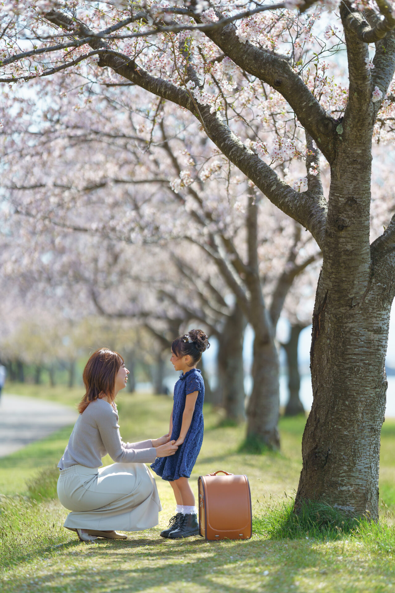 桜の木の下で抱っこする親子