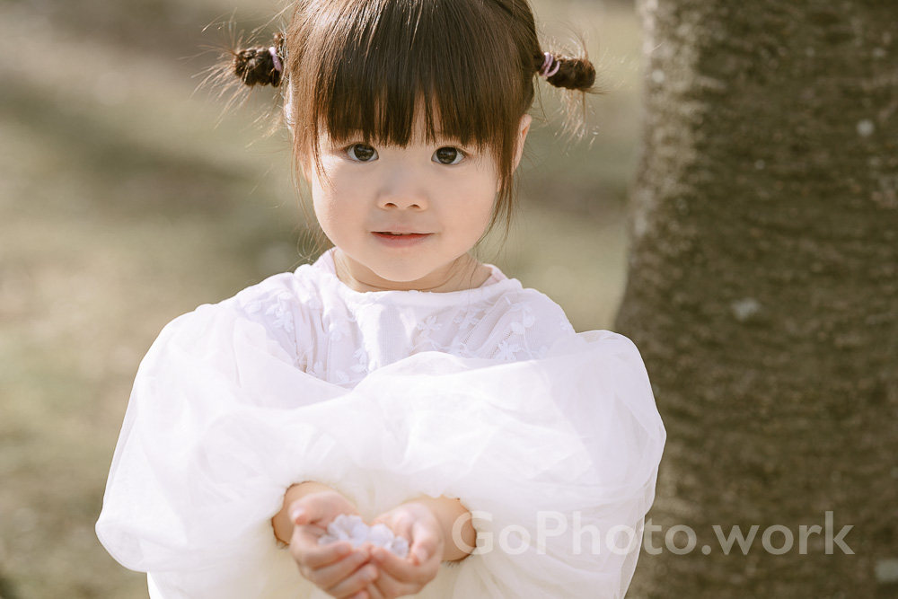 桜の花びらを持つ女の子