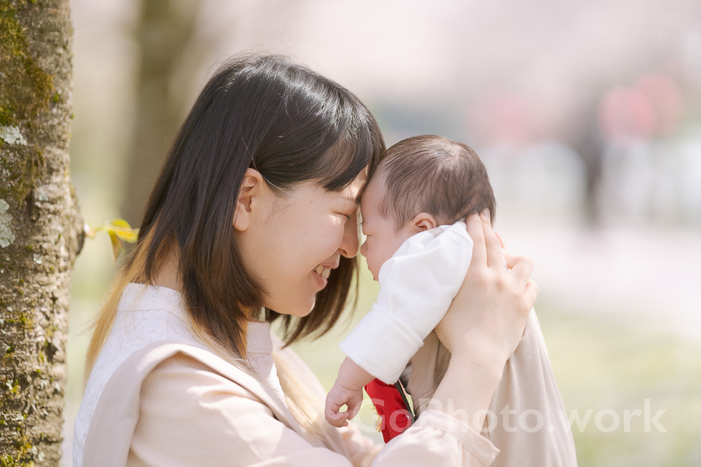 小松木場潟公園の満開の桜の樹の下で新生児を抱く母親