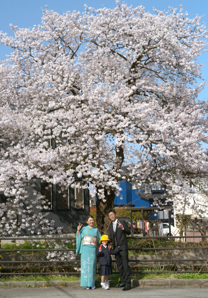 桜の下で入学写真