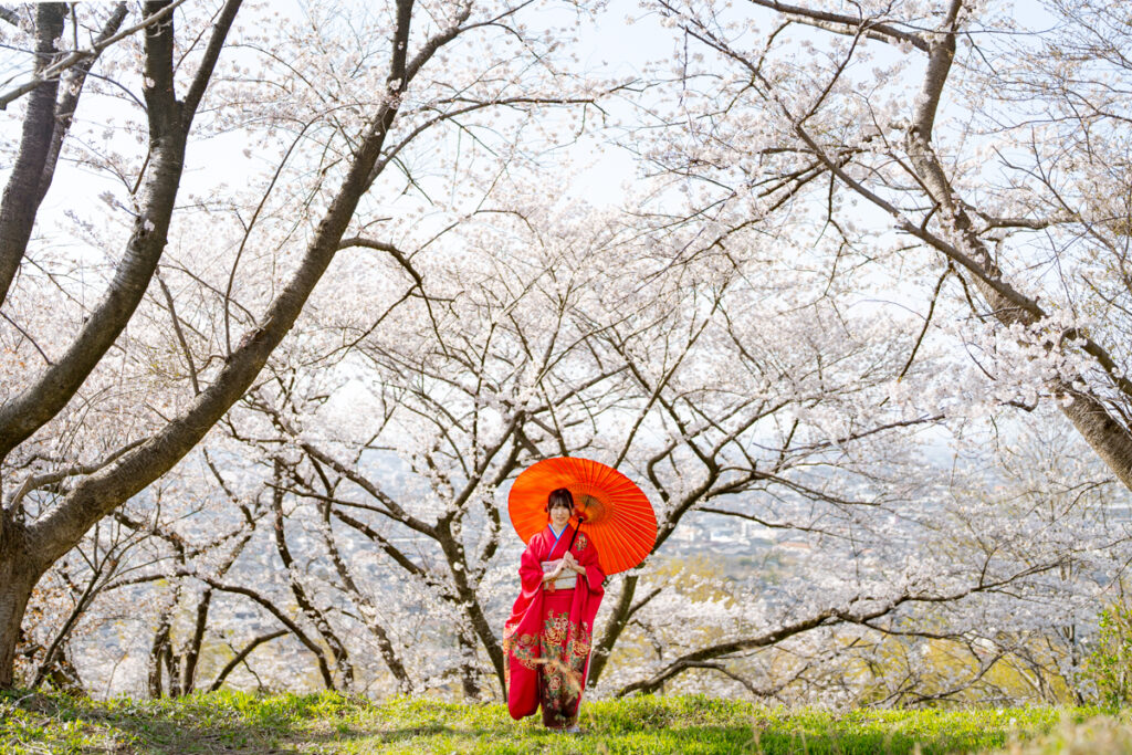 桜の木の下の振り袖の女性