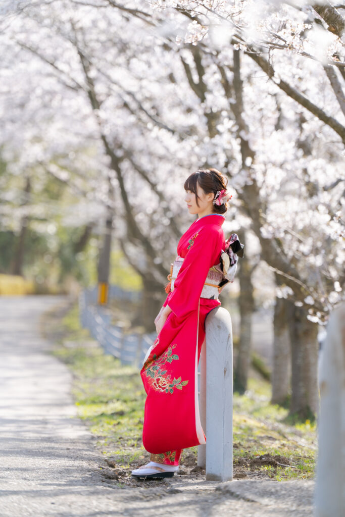 桜の下の振り袖の女性
