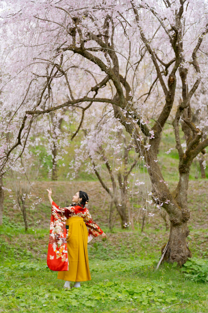 桜の下でポーズをとる卒業袴の女性