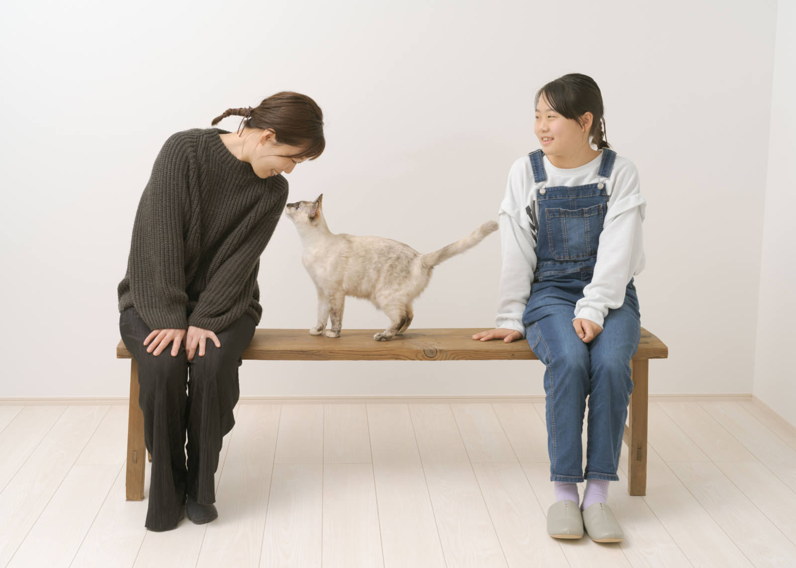 ワンちゃんねこちゃんと一緒に